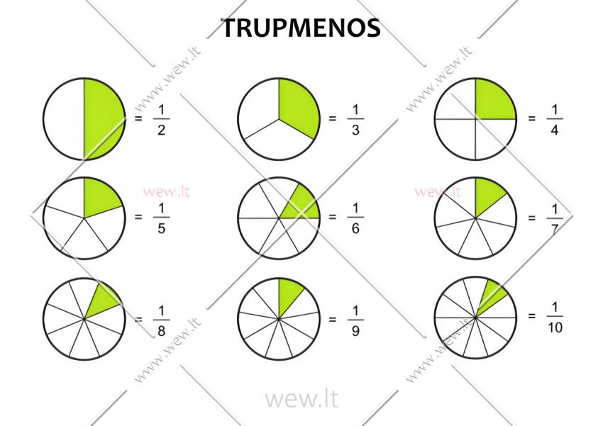PAPRASTOJI TRUPMENA