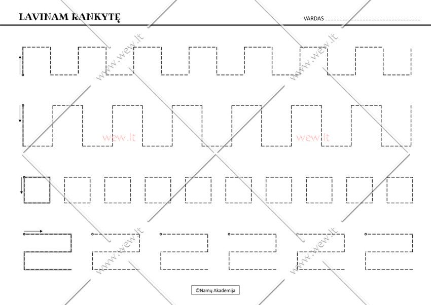 Rankos lavinimas Nr.6