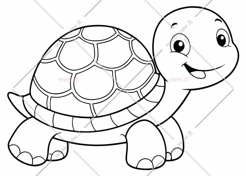 Vandens pasaulio gyventojas vėžliukas