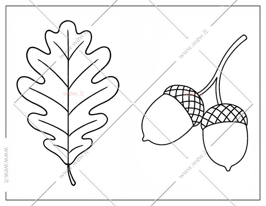 Ąžuolo lapas ir gilės spalvinti - Rudens simboliai