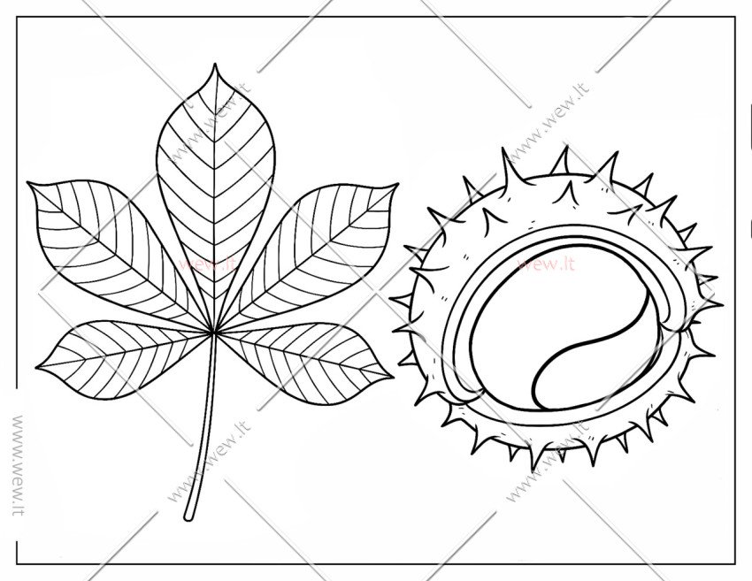 Kaštonas su lapu spalvinti