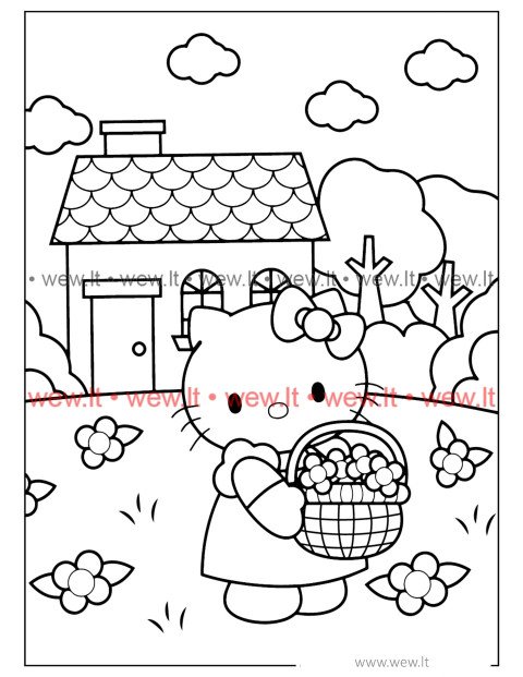 Hello Kitty renka gėles