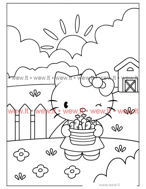 Šviežios daržovės su Hello Kitty