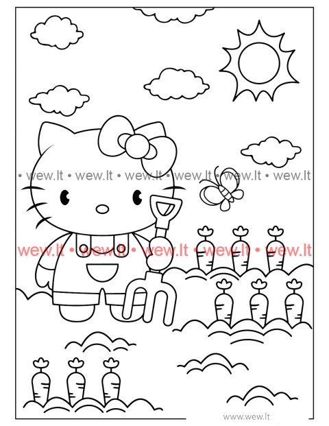 Morkų derlius su Hello Kitty