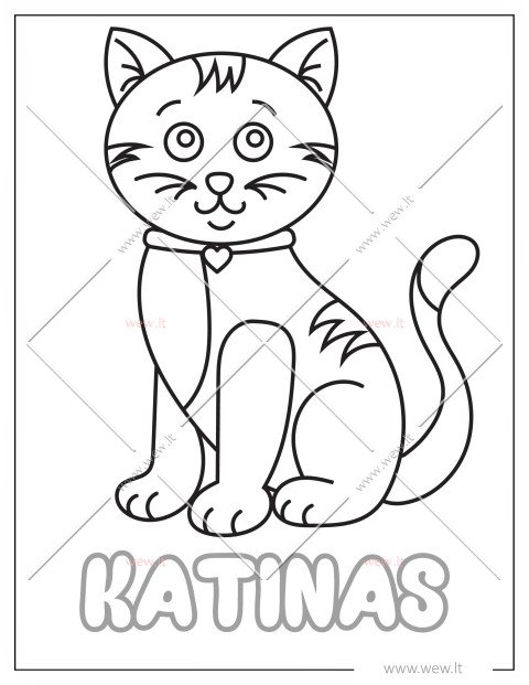 Žaismingas katinas