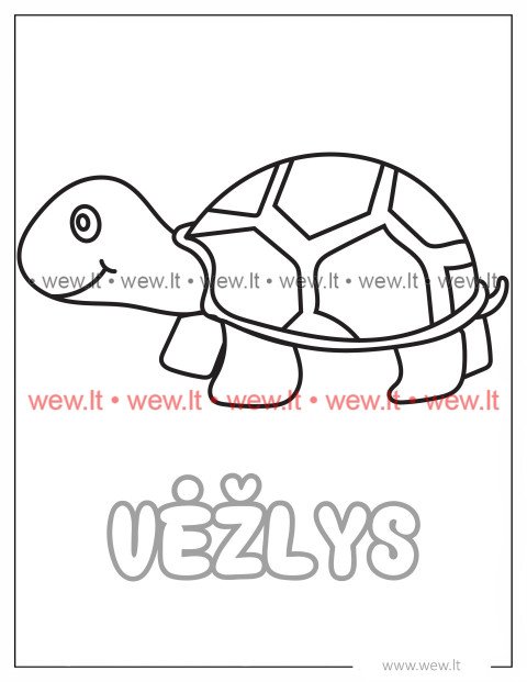 Šarvuotas vėžlys