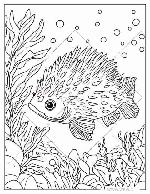 Dygliuota žuvis Pūsliažuvė spalvinti