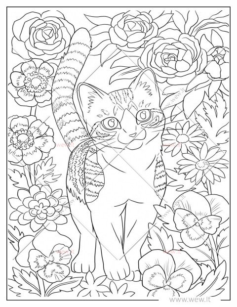 Mielas katinas tarp gėlių spalvinti