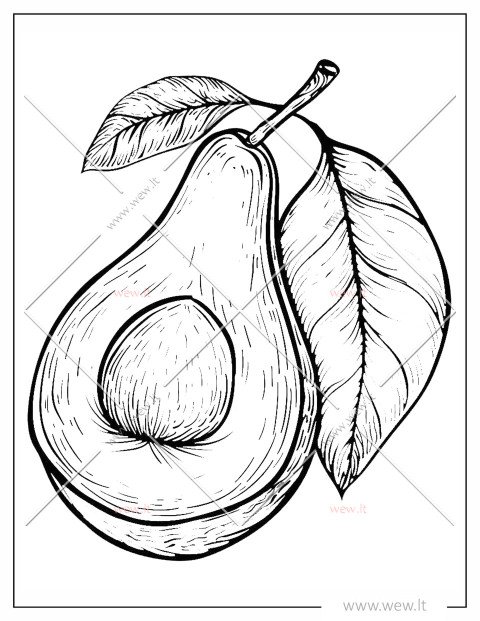 Avokadas su kauliuku spalvinti