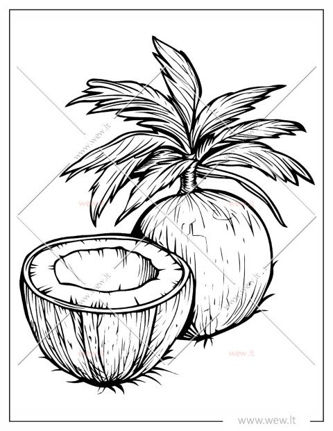 Egzotiškas kokosas spalvinti