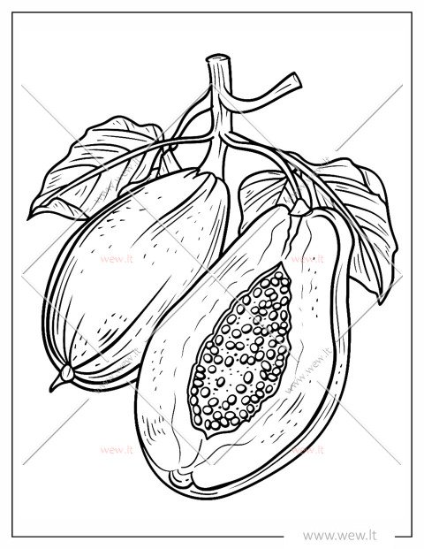 Egzotiška papaja spalvinti