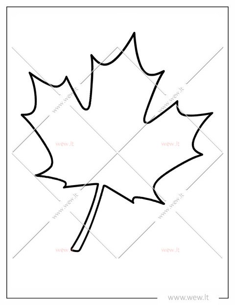 Klevo lapas spalvinti