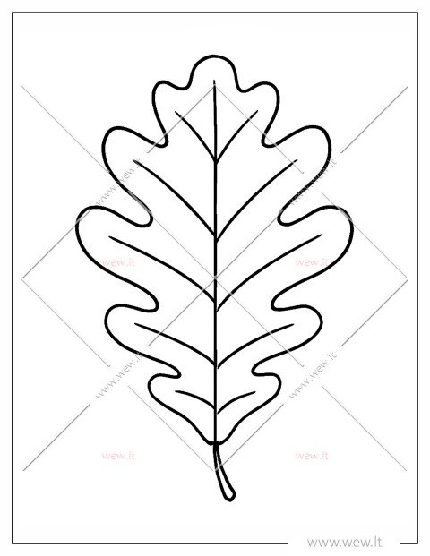 Ąžuolo lapas spalvinti