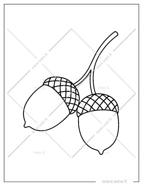 Ąžuolo gilės spalvinti