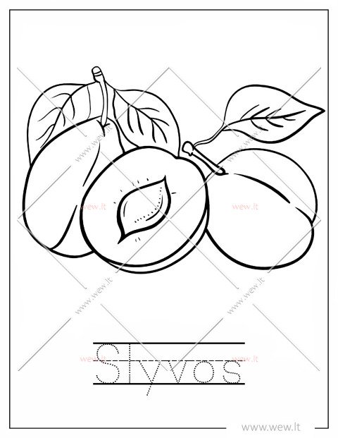 Prinokusios slyvos spalvinti