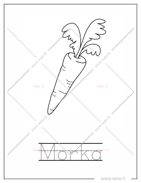 Oranžinė morka spalvinti