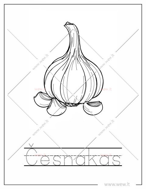 Česnakas - rudens derlius spalvinti