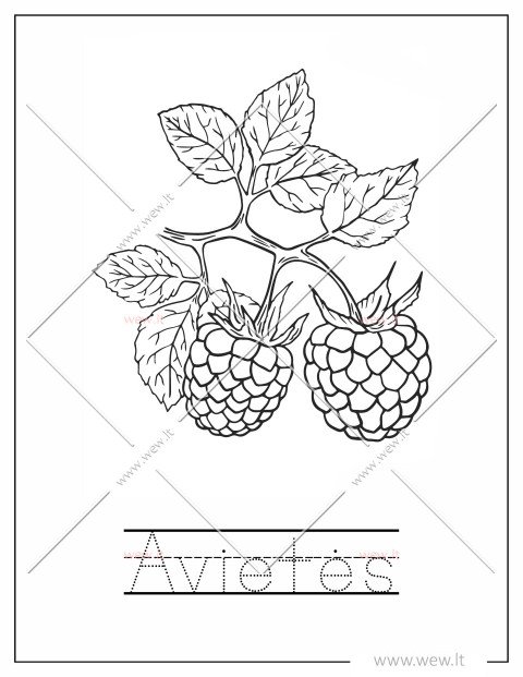 Prisirpusios avietės spalvinti