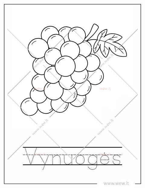 Vynuogės spalvinti vaikams