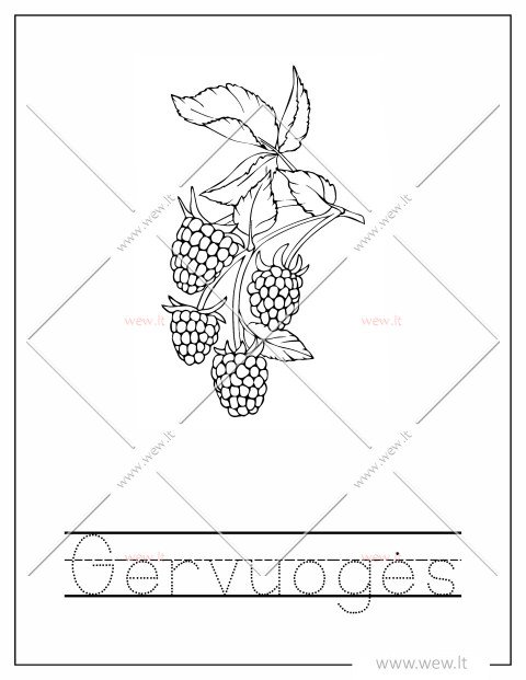 Prisirpusios gervuoges spalvinti