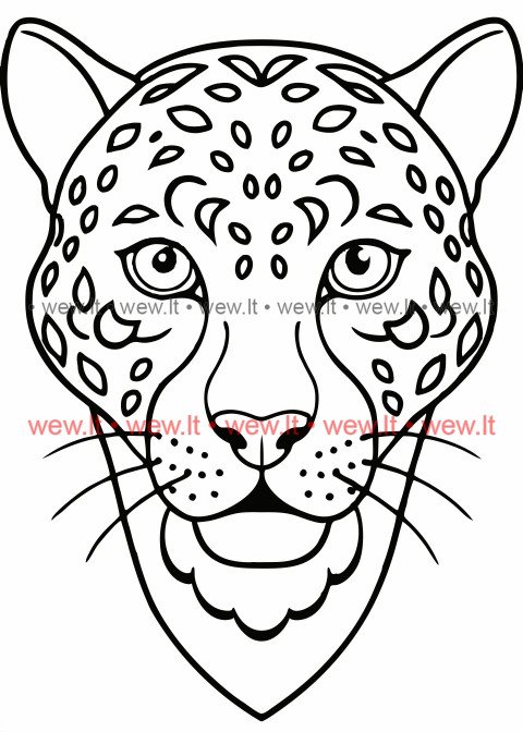 Dėmėtas leopardo veidas