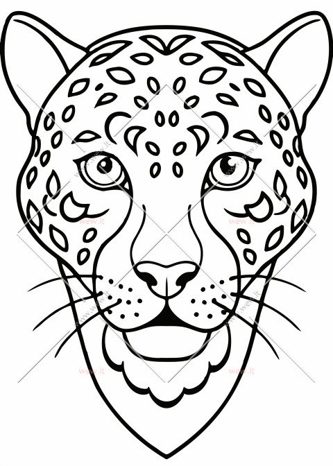 Dėmėtas leopardo veidas