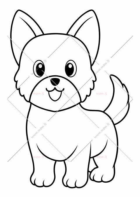 Mielas mažas šuniukas