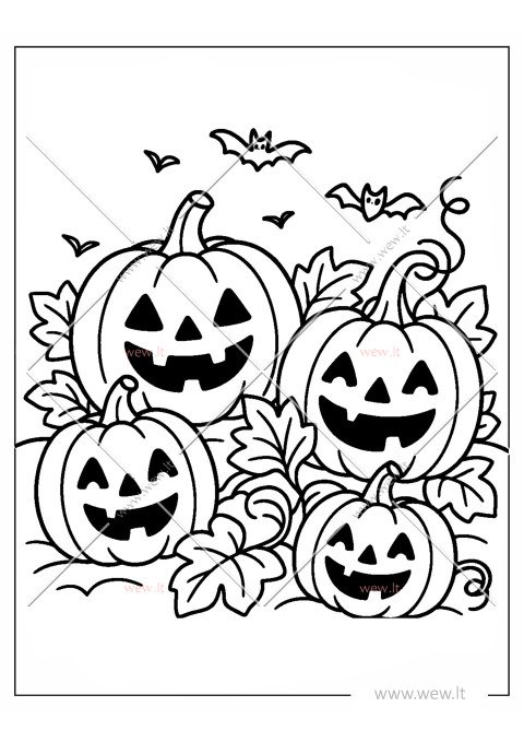 Augantys moliūgai  spalvinti