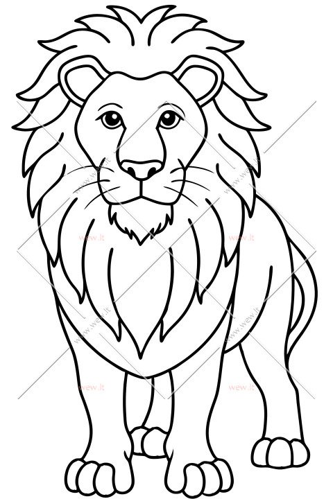 Liūtas žvėrių karalius