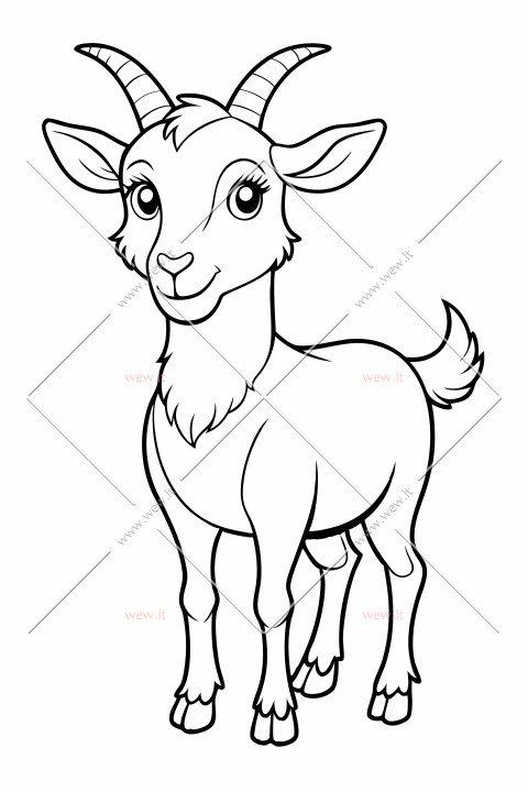 Kalnų karalienė ožka